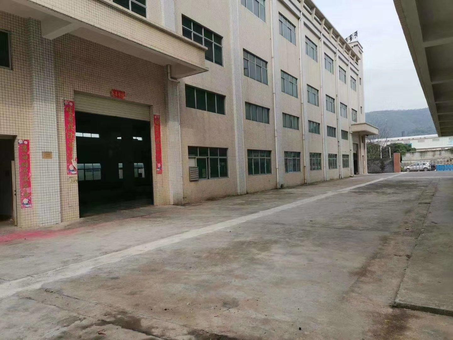 樟木頭最新招工信息，動(dòng)態(tài)、就業(yè)市場(chǎng)分析與求職指南