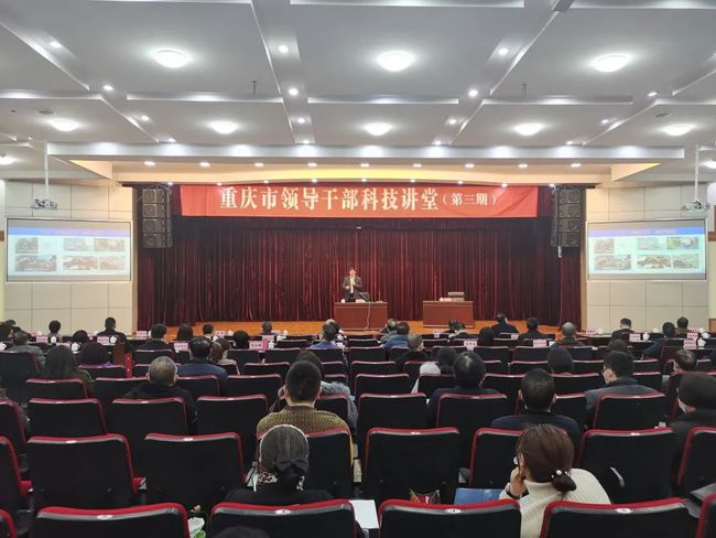 大渡口區(qū)文化局最新領(lǐng)導(dǎo)團(tuán)隊(duì)亮相，未來(lái)展望引領(lǐng)文化繁榮與發(fā)展